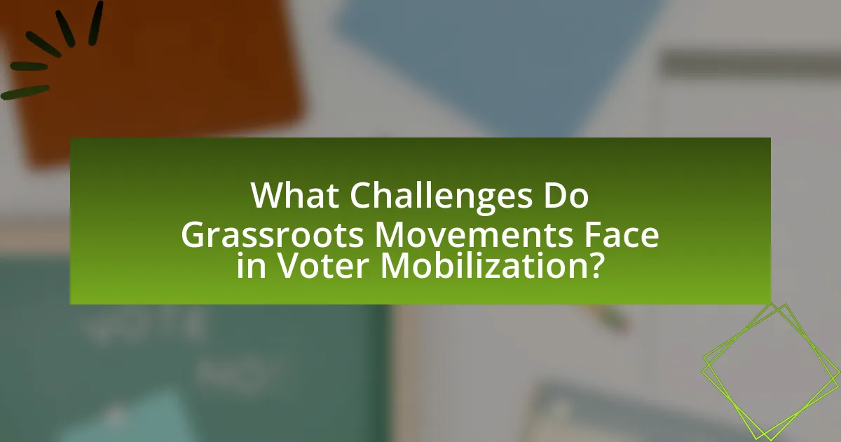 What Challenges Do Grassroots Movements Face in Voter Mobilization?