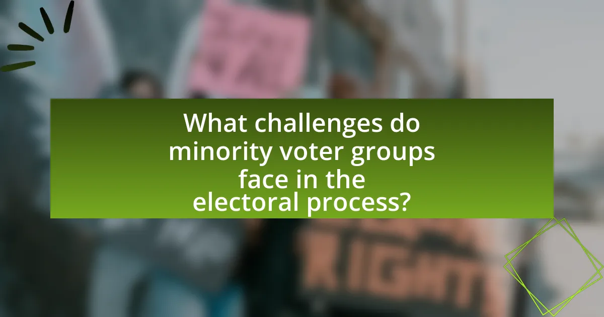 What challenges do minority voter groups face in the electoral process?