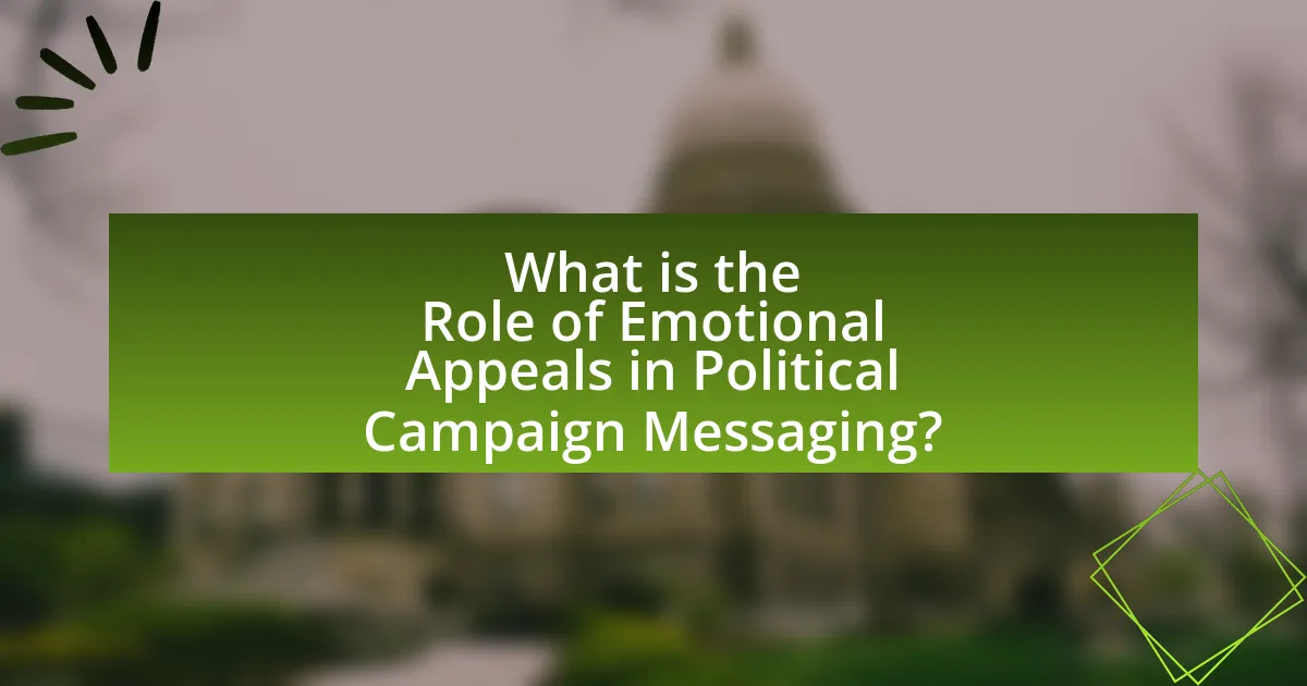 What is the Role of Emotional Appeals in Political Campaign Messaging?
