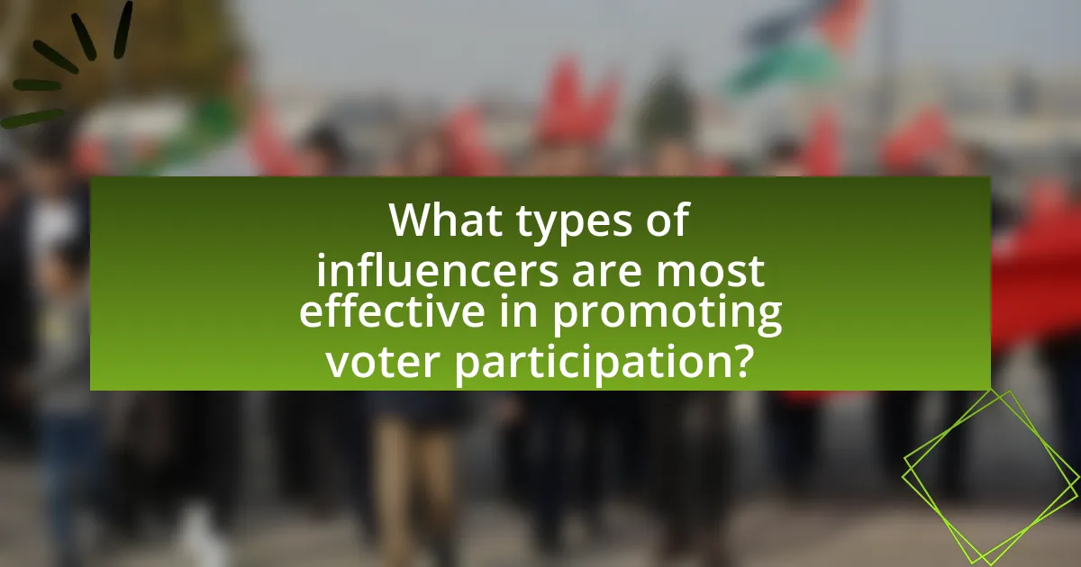 What types of influencers are most effective in promoting voter participation?